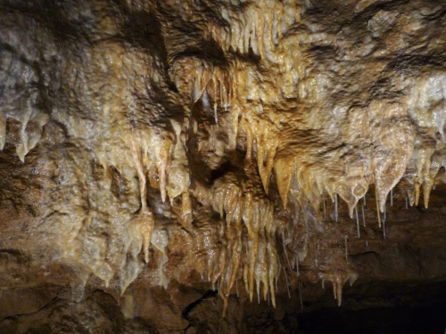 Conférence "Sous terre, la Saône-et-Loire"