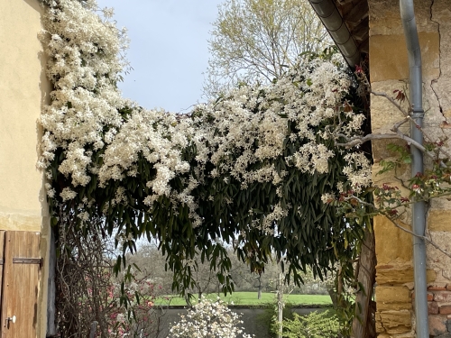 Rendez-vous aux jardins