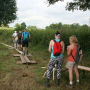 La Marche du Pavé Charolais