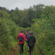 Marche du Terroir