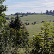 La Marche d'Automne